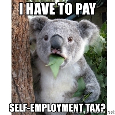 Self employed memes - surprised koala - tax